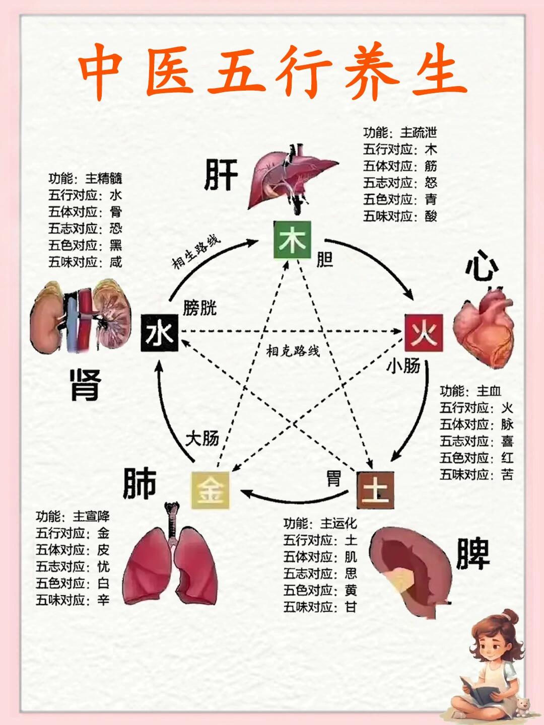 五行代表器官