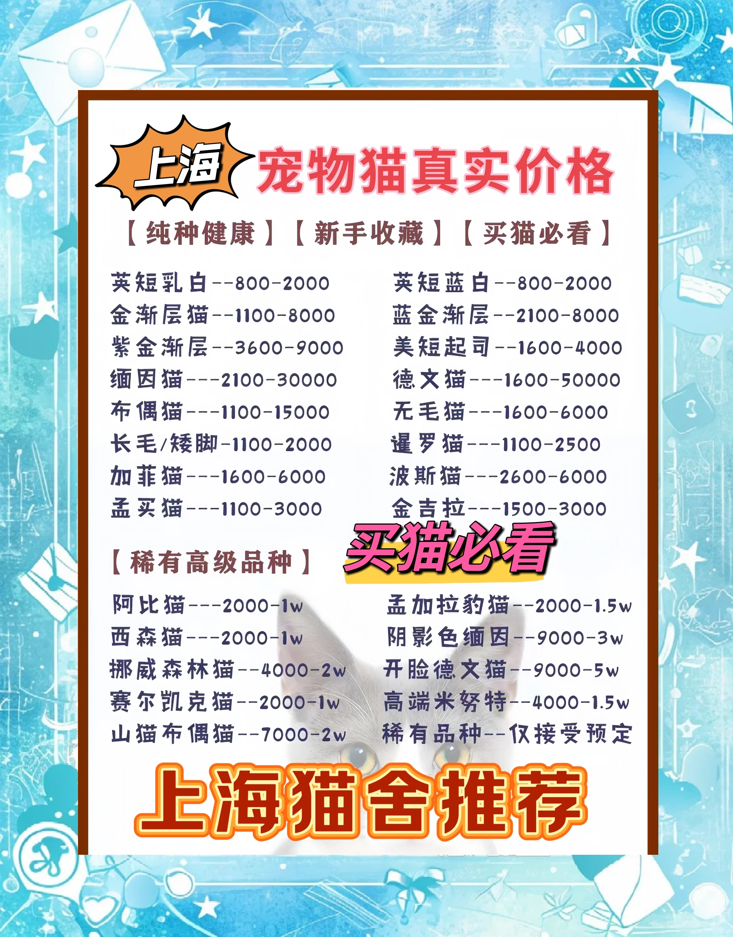 科普展现:宠物猫名字（宠物猫名字霸气男猫）