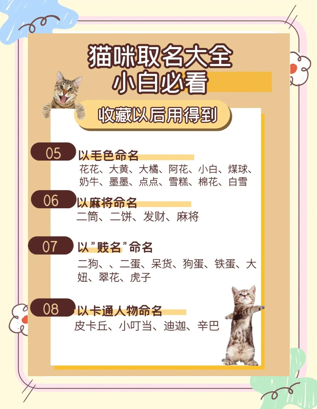 科普展现:男猫咪名字（男猫咪名字招财洋气）