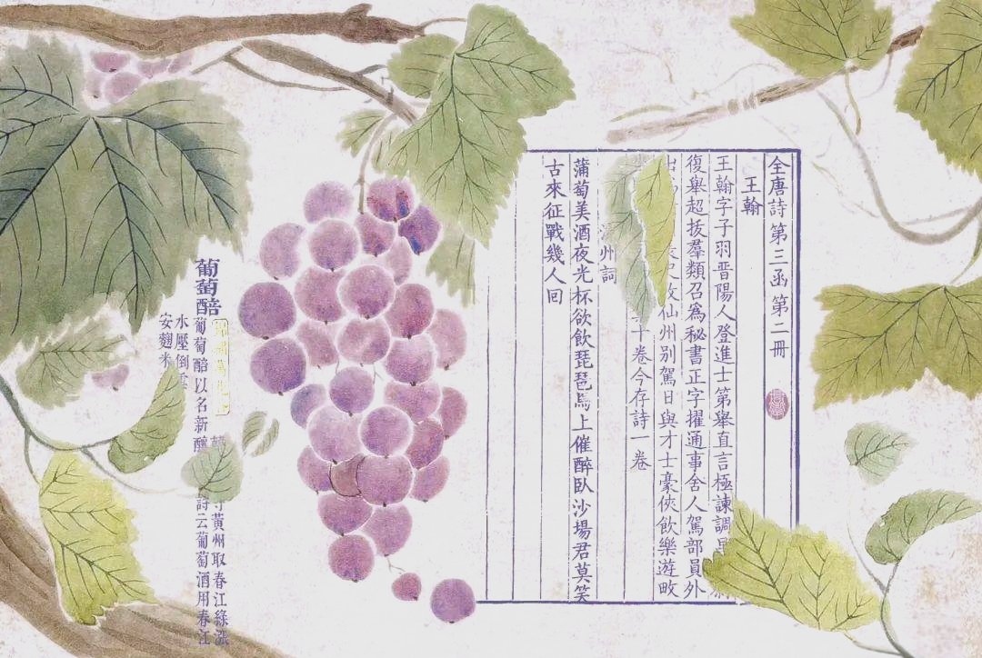 科普展现:淡雅名字（淡雅好听的网名）