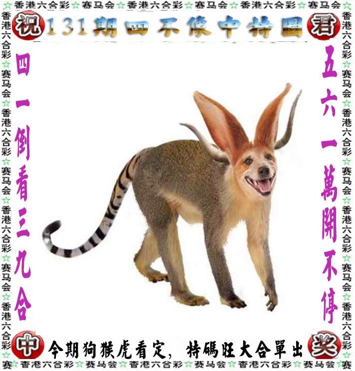 澳门2023精准一肖一码资料