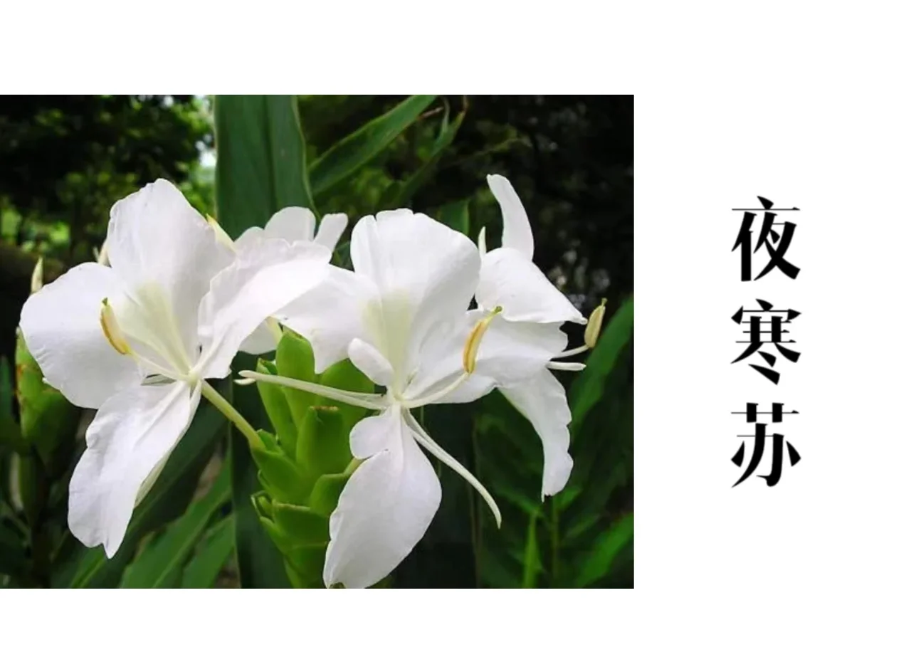 解决方案 第27页