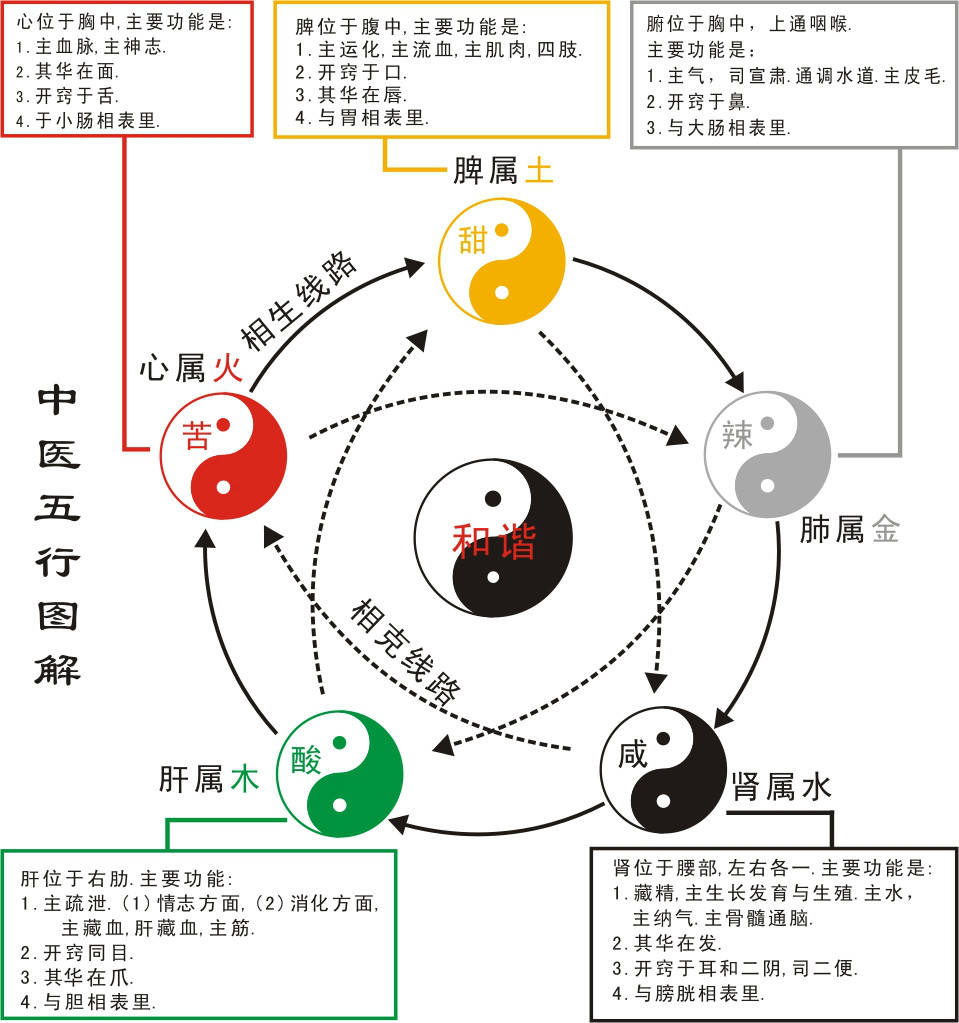 科普展现:华五行（华字五行）