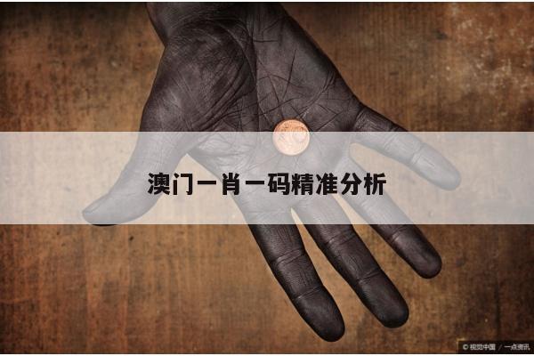 澳门一肖一码精准分析