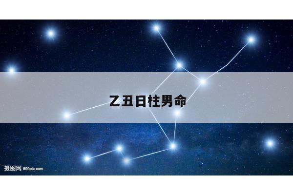 乙丑日柱男命