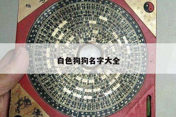 白色狗狗名字大全