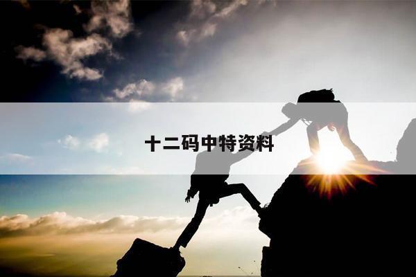 十二码中特资料