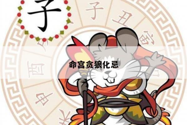 命宫贪狼化忌
