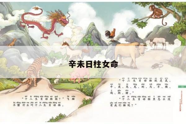 辛未日柱女命