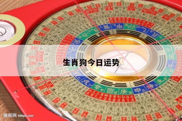 生肖狗今日运势