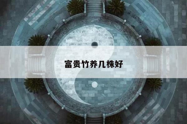 富贵竹养几株好