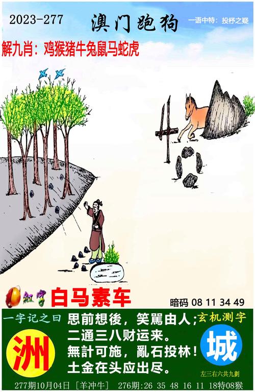 澳门马会每晚开奖号码历史记录,澳门马会每晚开奖号码历史记录及资料