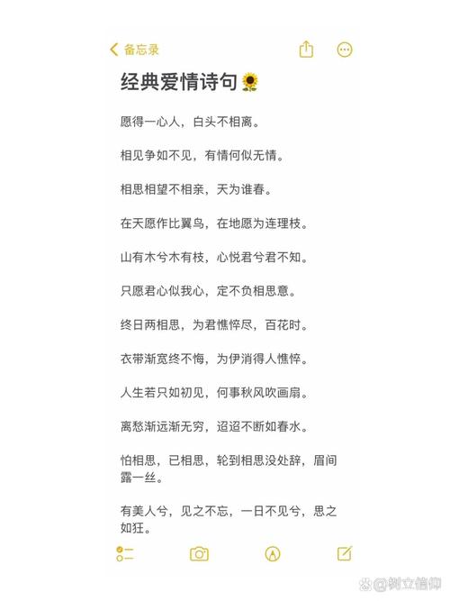 新关于爱情的诗句,新关于爱情的诗句有哪些