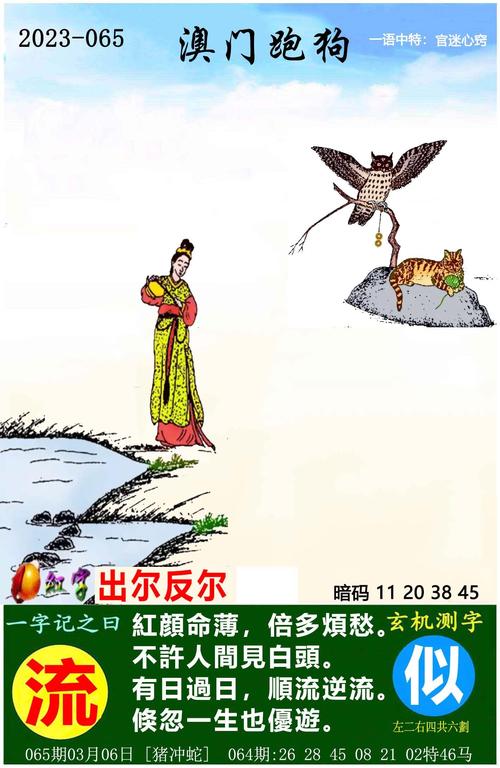 新澳门彩黄大仙精准免费资料,澳门黄大仙精选论坛资料大全