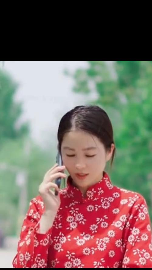 江南爱情故事,江南爱情故事演员表