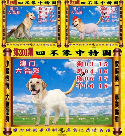 澳门六合王论坛,
