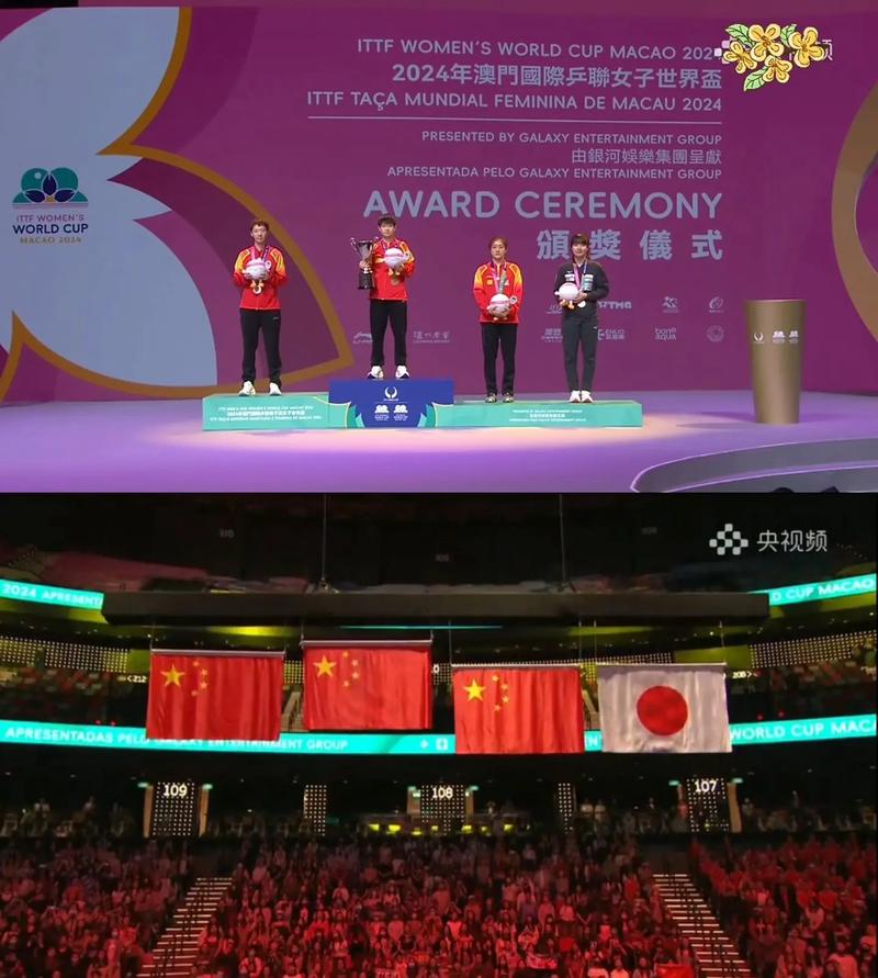 2024wtt澳门,2024年wtt澳门冠军赛