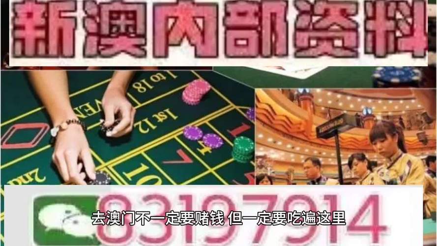澳门今天晚上开什么特马,今晚澳门9点35分开什么