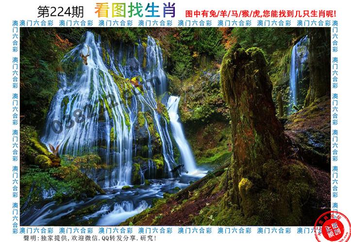 仙人指路论坛澳门网址是多少,仙人指路论坛澳门网址是多少号